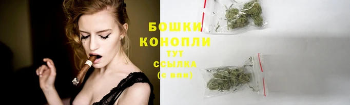 мяу мяу мука Абаза