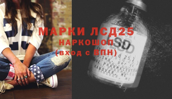 мяу мяу мука Абаза
