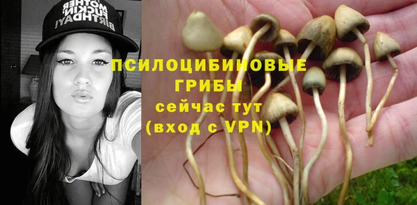 мяу мяу мука Абаза