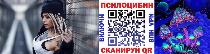 ОМГ ОМГ ONION  Урень  Псилоцибиновые грибы Psilocybine cubensis 